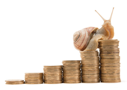 A snail crawling on a schedule of coins