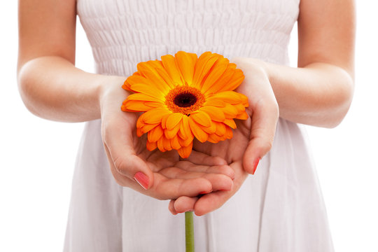 Woman holding an orange gerbera