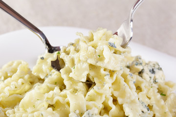 European cuisine. The pasta wound on a fork