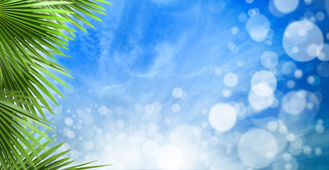 Fototapeta na wymiar abstrakcyjne tła z pięknym bokeh wiosna i liści palmowych