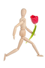 Wooden figure holding tulip and walking over a white background