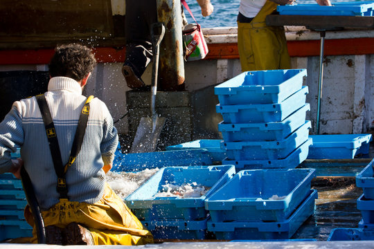 Arriv&eacute;e de p&ecirc;che
