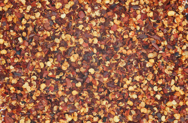 Crushed Chillies for use as background
