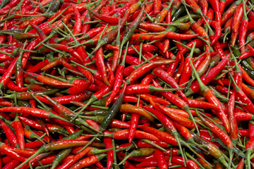 fresh chili, red fresh chili pile in the market.