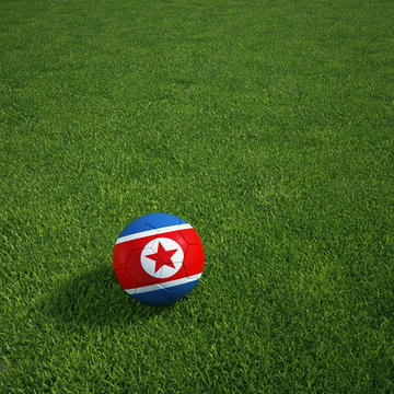 North Korean soccerball lying on a grass field