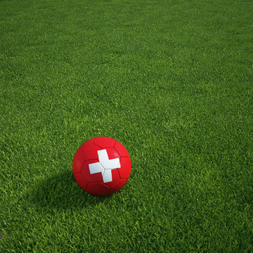 Swiss soccerball lying on a grass field