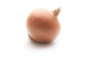 Onion on White Background.