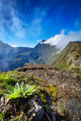 Belvédère du Maïdo - Ile de La Réunion