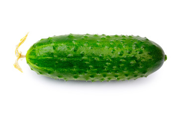 Cucumber isolated on white