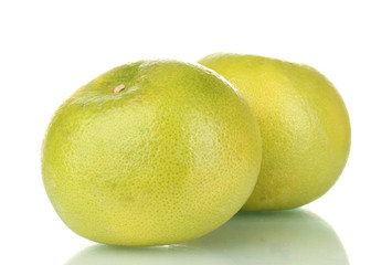 two green grapefruits isolated on white