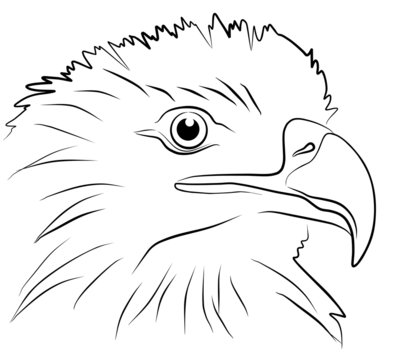 eagle head isolated on white background, vector illustration