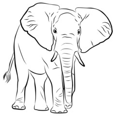 elephant silhouette - freehand, vector illustration