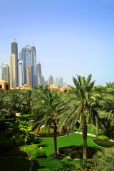 Dubai skyscrapers and palms