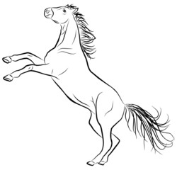 Obraz na płótnie Canvas horse sketch on a white background, vector illustration
