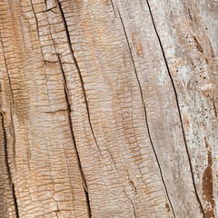 Holzmaserung - Textur