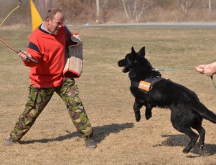 police dog