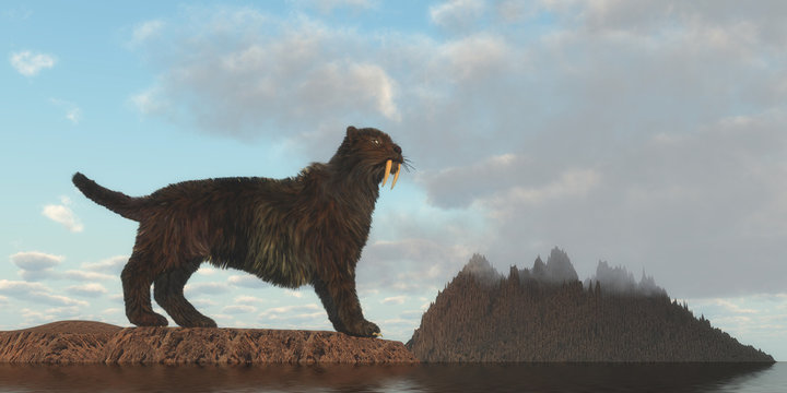 Saber-Tooth Cat