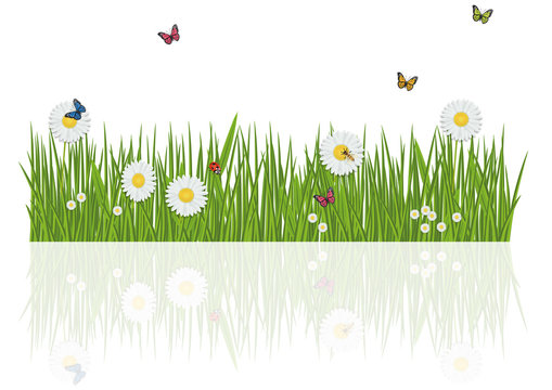 FRISE_HERBE_INSECTE_REFLET
