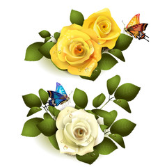 Roses with butterflies on white background