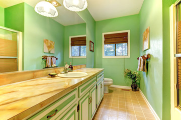 Green outdated bathroom interior.