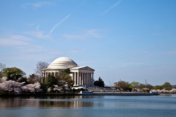 Washington DC Jefferson Memorial with Cherry Blossoms