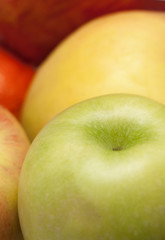 cropped image of apples