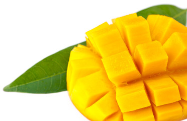 mangue