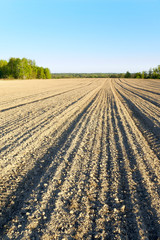 Spring evening in the Central Russia. Arable  land and woods