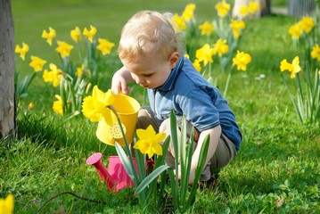 Blond child watering plants
