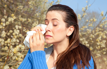 allergie weide birke