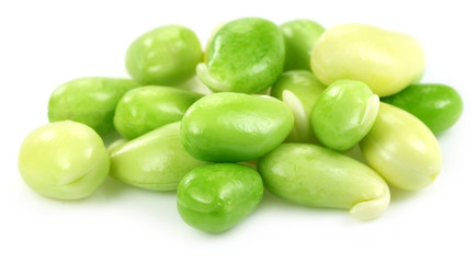 Edible seeds of hyacinth bean