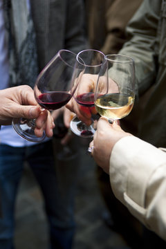 Groupe d'amis trinquant &agrave; la bonne sant&eacute; lors d'une d&eacute;gustation de vins &agrave; Bordeaux en France