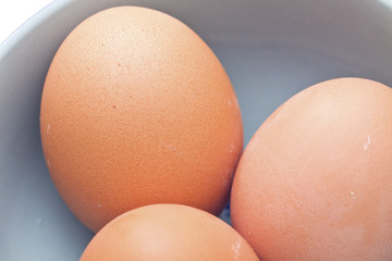 Eggs isolated on white background