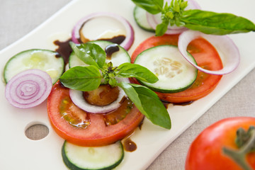Tomato and Basil salad