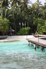 Maldives embudu