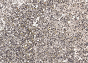 Steinwand mit Flechten