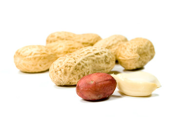 Obraz premium peanuts