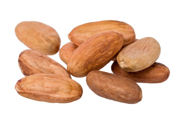 Raw Cacao Beans (Theobroma cacao)