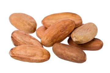 Obraz premium Raw Cacao Beans (Theobroma cacao)