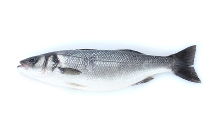 Fototapeta premium Fresh fish isolated on white