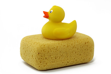schwamm mit badeente