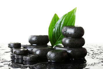 Spa stones with drops and green leaves on white background