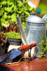 Gardening tools in garden background