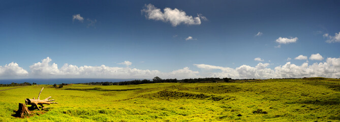 Hawaii Farmland