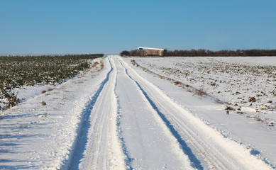 Fototapeta na wymiar Road in winter