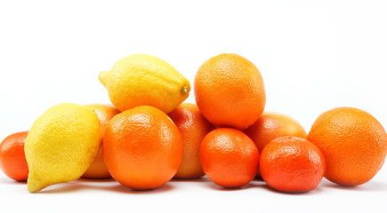 citrus fruits isolated on a white background.