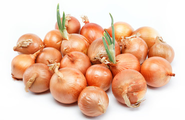 Fresh bulbs of onion on a white background