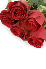 Bouquet of red roses