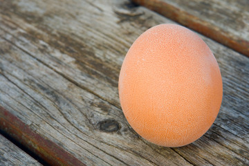 Brown egg