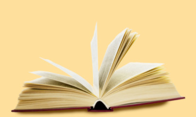 an open book lying on the table